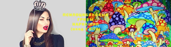 хмурый Абдулино