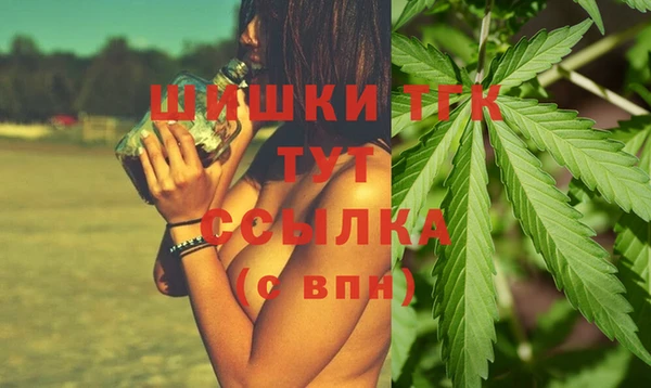 дмт Абаза