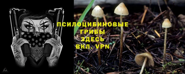 дмт Абаза