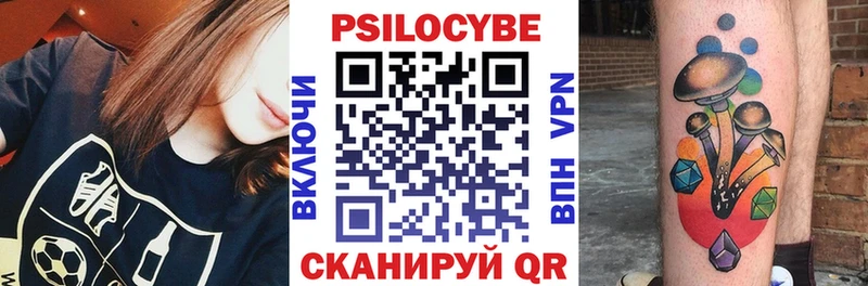 хочу   Темников  Псилоцибиновые грибы мицелий 